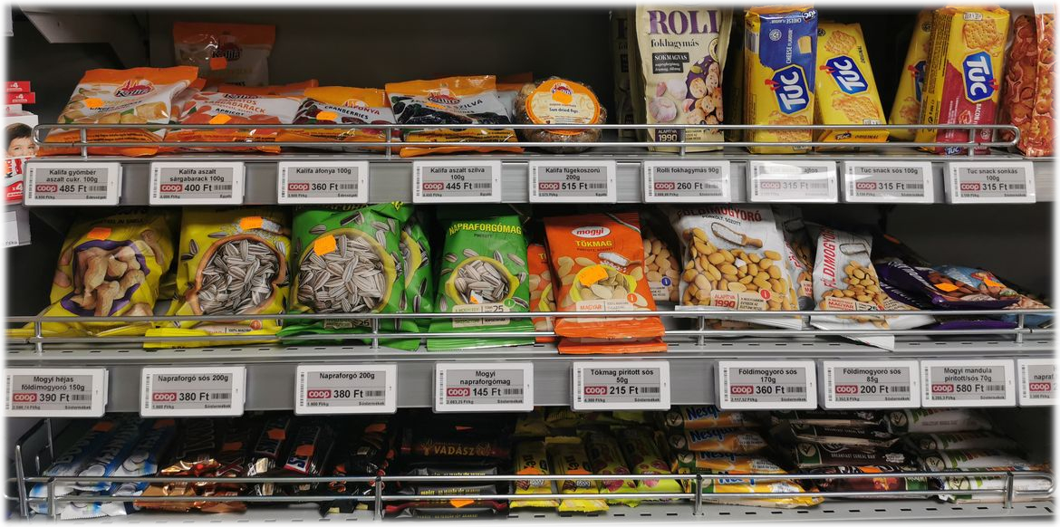 SoluM Newton Lite in a retail store