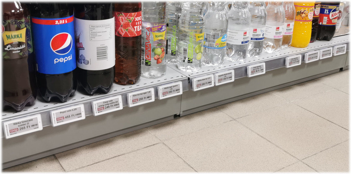 SoluM Newton Lite in a retail store